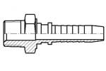 AGN (C31)