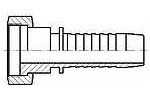 ORFS (K41)