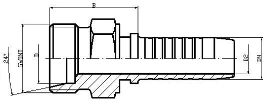 CEL (P21)