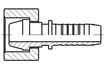 DKL (P11)