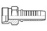 CEL (P21)